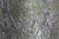 Fishermead fibreglass roof work